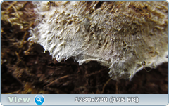 0_115088_a5c64e78_orig.png
