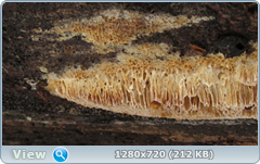 0_115e54_56f3168d_orig.png