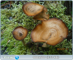 0_11f457_f285f655_orig.png