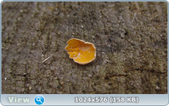 0_12451b_48ace5c4_orig.png