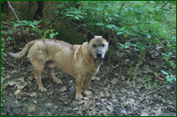 0_e5187_5a709eb7_orig.png
