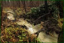 0_f1ef3_11605787_orig.jpg