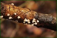 0_f1f01_1037a272_orig.jpg