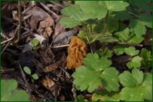 0_f55b4_f3da0603_orig.jpg