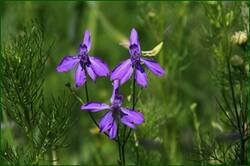 0_126801_ee9502cf_orig.jpg