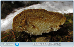 0_103867_7aad0921_orig.png