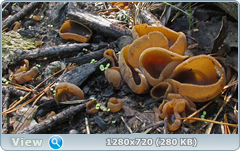 0_1092c2_2378eb23_orig.png