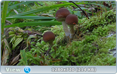 0_1121c6_15e9e0ad_orig.png