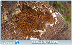 0_115078_b0cdcec6_orig.png