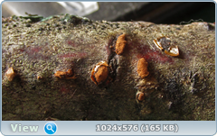 0_11d422_e98b20da_orig.png