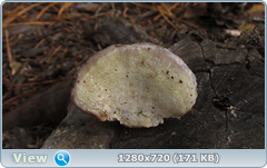0_115ebf_7af3548c_orig.png