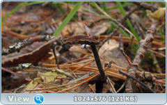 0_123d81_6d62e127_orig.png