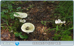 0_11fcb4_958700ce_orig.png