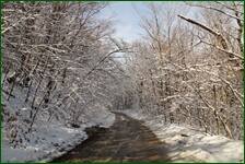 0_f17fe_9044c357_orig.jpg