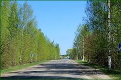 0_140651_1d1ed153_orig.jpg