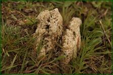 0_f5b46_31700990_orig.jpg