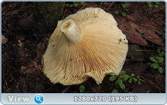 0_11059d_f36da76e_orig.png