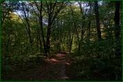 0_ed64a_5a9fc432_orig.jpg