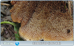 0_10c796_464ac053_orig.png