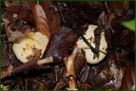 0_ef742_92ddee19_orig.jpg