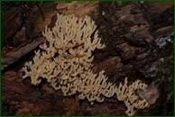 0_ef760_cf225b49_orig.jpg