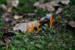 0_12829d_284f9c17_orig.jpg