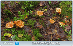 0_1105b9_b494aac4_orig.png