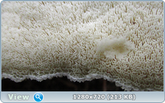 0_114204_a000fa16_orig.png