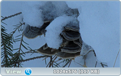 0_11f0dc_e7d3a6d6_orig.png