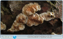 0_127735_bbf7dfa2_orig.png
