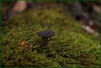 0_f15a8_bbd6471f_orig.jpg