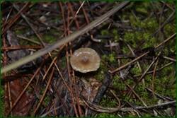 0_f21e3_b050101_orig.jpg