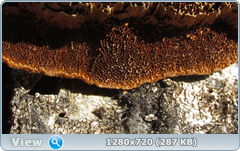 0_10207a_c260322b_orig.png
