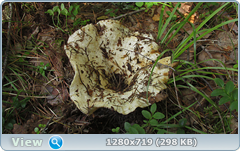 0_10ad10_db33a626_orig.png