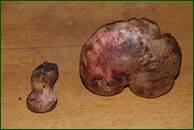 0_efca9_b5572913_orig.jpg