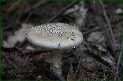 0_12829f_70512962_orig.jpg