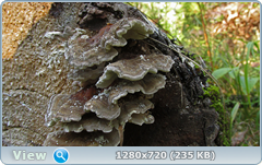 0_1133aa_589882ad_orig.png