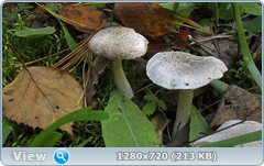 0_1133e4_afe469d1_orig.png