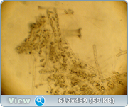 0_11e4ee_5515b9b4_orig.png