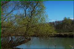 0_e24bf_ad29b84e_orig.png