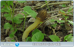 0_105615_94897b5e_orig.png
