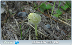 0_107e85_2fca571b_orig.png