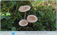 0_11261a_df63f5f5_orig.png