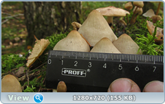 0_1130d2_2a622d98_orig.png