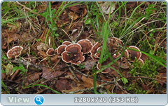 0_117134_6796d834_orig.png