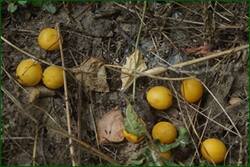 0_fd972_55e9c038_orig.jpg