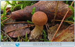 0_10b596_2682e43d_orig.png