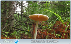 0_10dd62_c67ddb66_orig.png