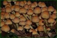 0_ef677_6d0a3c86_orig.jpg