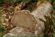 0_f57ec_93144b37_orig.jpg